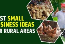 Top 10 business ideas in village