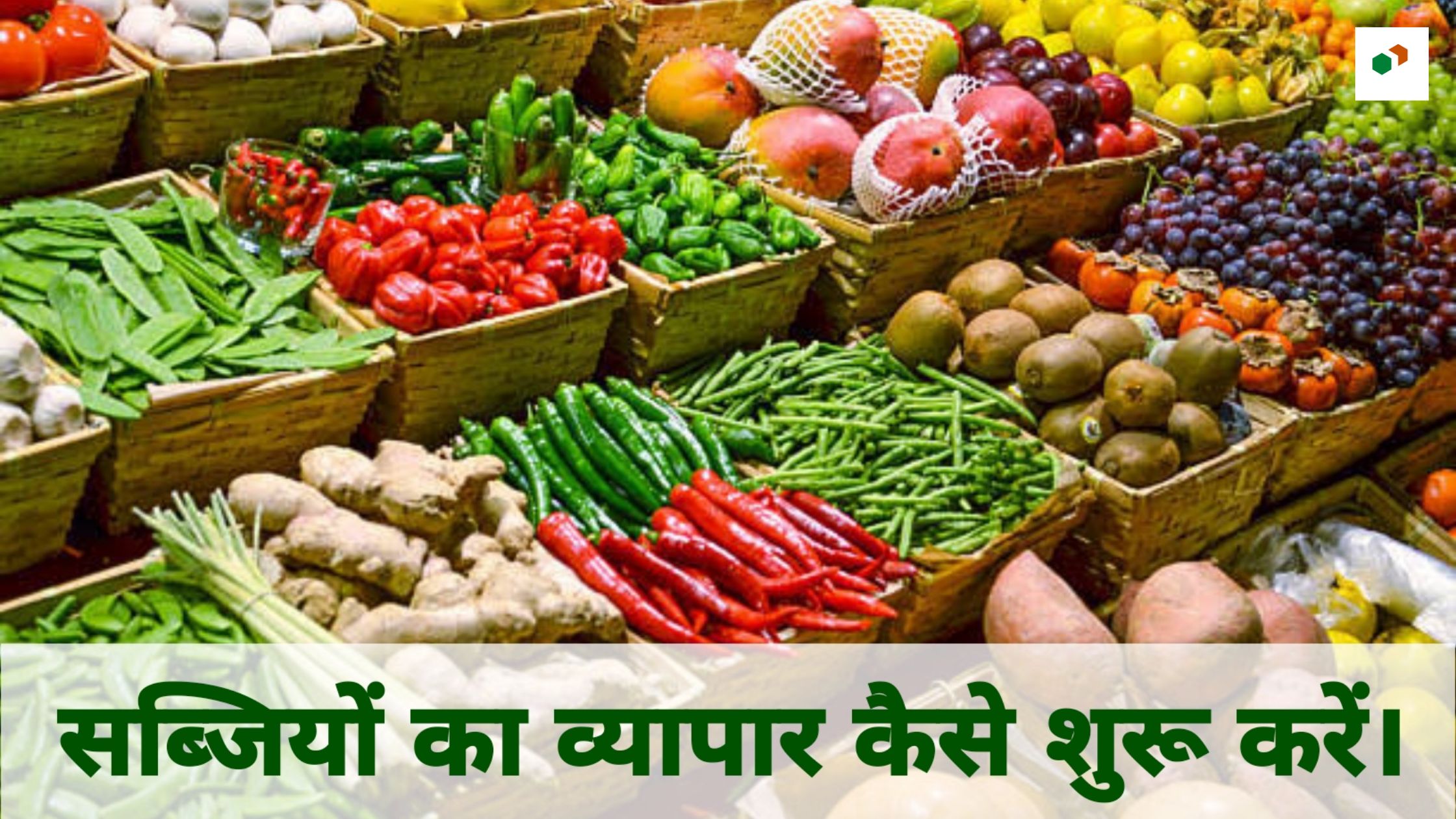 vegetable business plan pdf in hindi