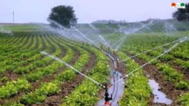 Irrigation Methods in hindi