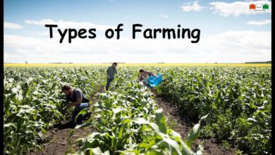 भारत में खेती के प्रकार | types of farming in india